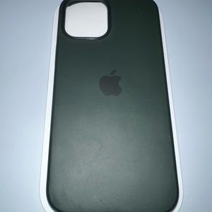 Apple Silicone Cypress Green Case for iPhone 12ProMax